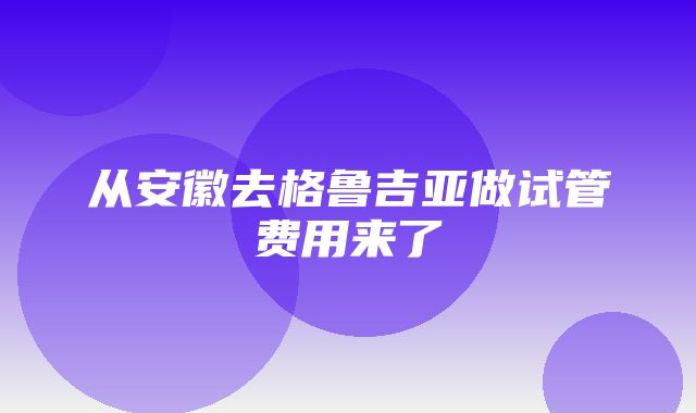 从安徽去格鲁吉亚做试管费用来了