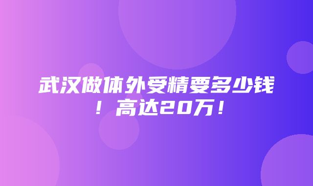 武汉做体外受精要多少钱！高达20万！