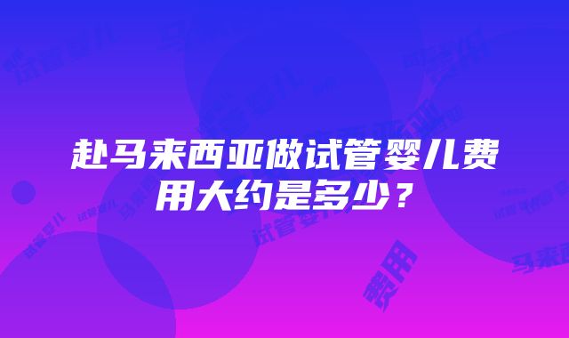 赴马来西亚做试管婴儿费用大约是多少？