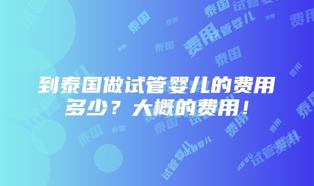 到泰国做试管婴儿的费用多少？大概的费用！