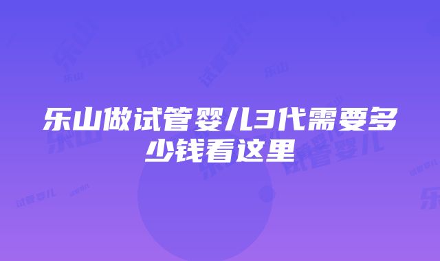 乐山做试管婴儿3代需要多少钱看这里