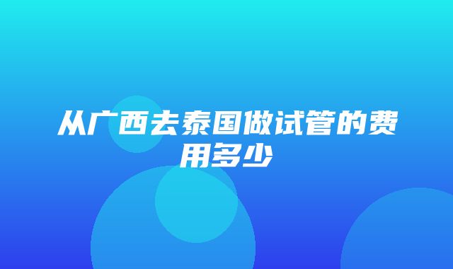 从广西去泰国做试管的费用多少