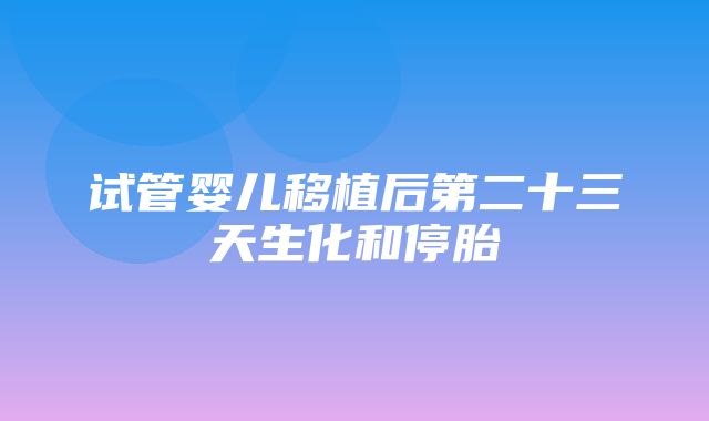 试管婴儿移植后第二十三天生化和停胎