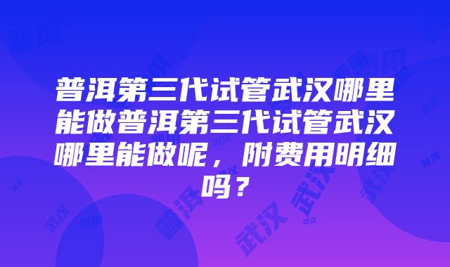 普洱第三代试管武汉哪里能做普洱第三代试管武汉哪里能做呢，附费用明细吗？