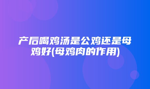 产后喝鸡汤是公鸡还是母鸡好(母鸡肉的作用)