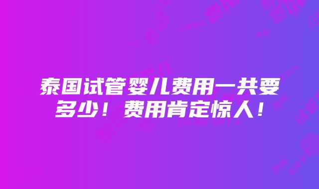 泰国试管婴儿费用一共要多少！费用肯定惊人！