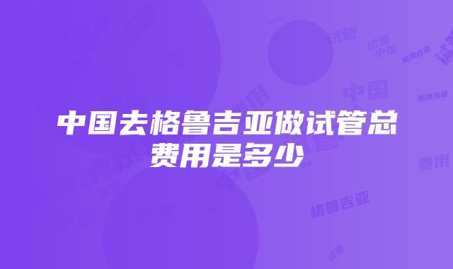 中国去格鲁吉亚做试管总费用是多少