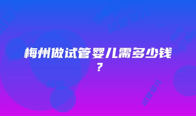 梅州做试管婴儿需多少钱？