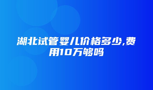 湖北试管婴儿价格多少,费用10万够吗