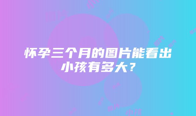 怀孕三个月的图片能看出小孩有多大？