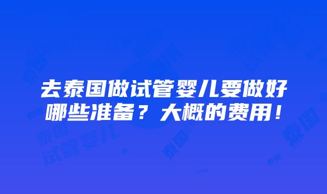 去泰国做试管婴儿要做好哪些准备？大概的费用！