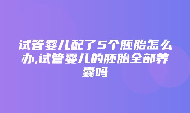 试管婴儿配了5个胚胎怎么办,试管婴儿的胚胎全部养囊吗