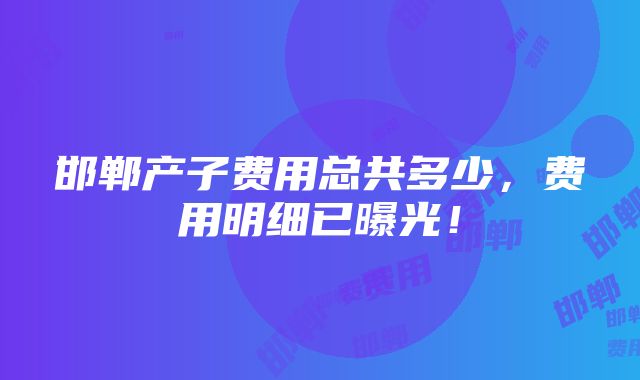 邯郸产子费用总共多少，费用明细已曝光！