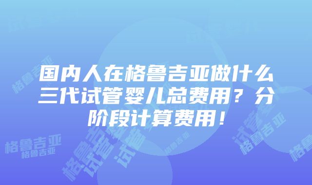 国内人在格鲁吉亚做什么三代试管婴儿总费用？分阶段计算费用！