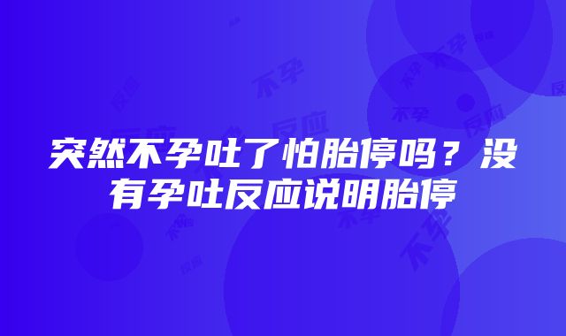 突然不孕吐了怕胎停吗？没有孕吐反应说明胎停