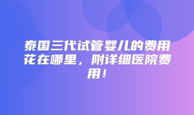 泰国三代试管婴儿的费用花在哪里，附详细医院费用！