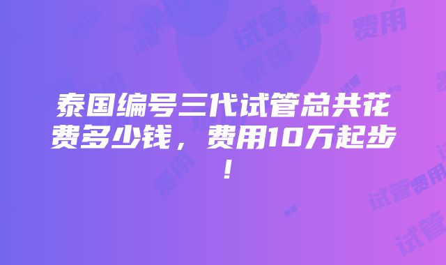 泰国编号三代试管总共花费多少钱，费用10万起步！