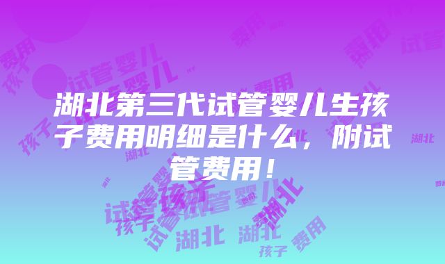 湖北第三代试管婴儿生孩子费用明细是什么，附试管费用！