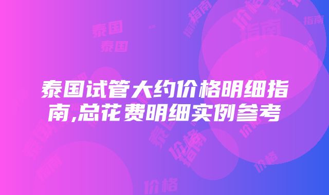 泰国试管大约价格明细指南,总花费明细实例参考