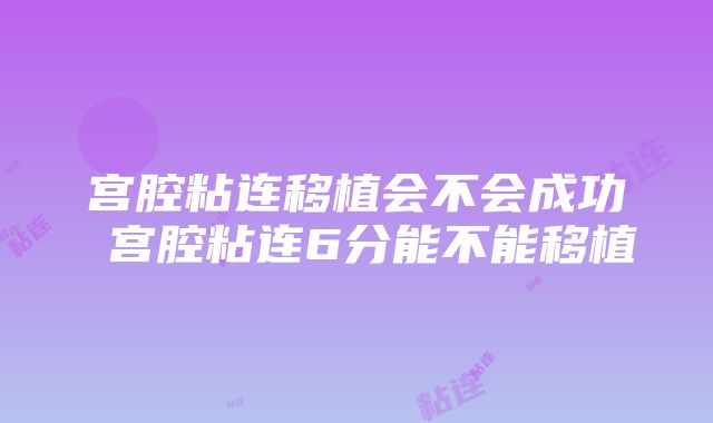 宫腔粘连移植会不会成功 宫腔粘连6分能不能移植