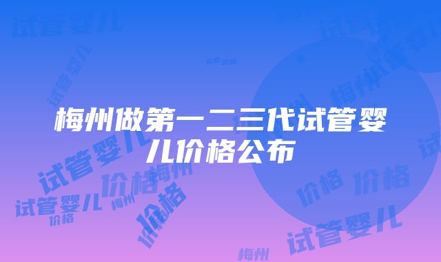 梅州做第一二三代试管婴儿价格公布