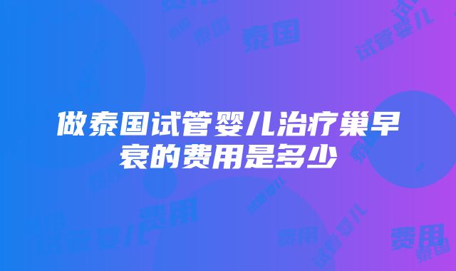 做泰国试管婴儿治疗巢早衰的费用是多少