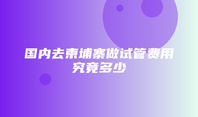 国内去柬埔寨做试管费用究竟多少