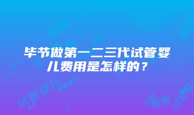 毕节做第一二三代试管婴儿费用是怎样的？