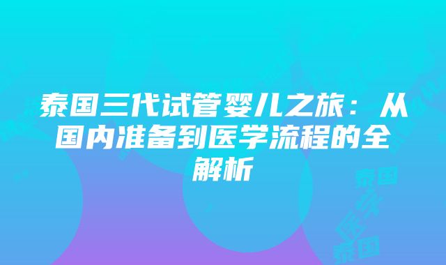 泰国三代试管婴儿之旅：从国内准备到医学流程的全解析