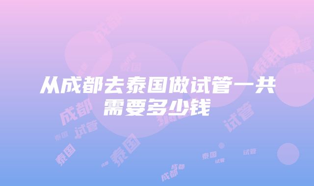 从成都去泰国做试管一共需要多少钱