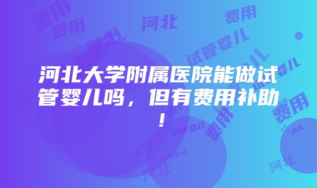 河北大学附属医院能做试管婴儿吗，但有费用补助！