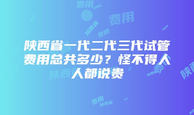 陕西省一代二代三代试管费用总共多少？怪不得人人都说贵