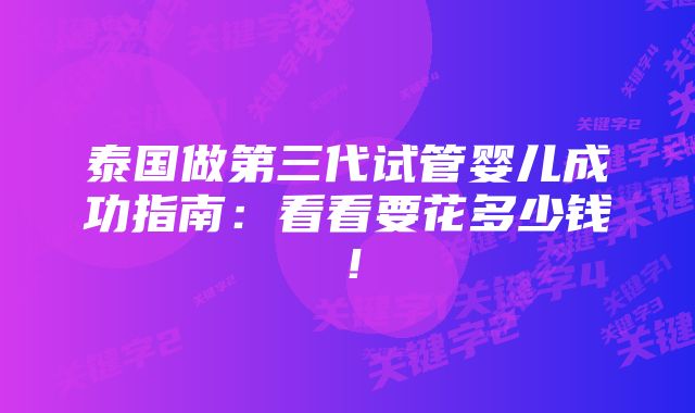 泰国做第三代试管婴儿成功指南：看看要花多少钱！