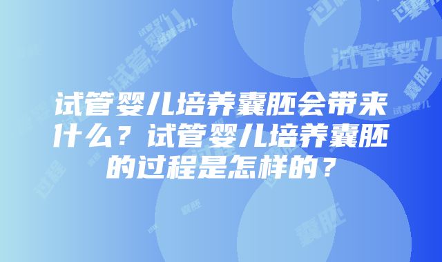 试管婴儿培养囊胚会带来什么？试管婴儿培养囊胚的过程是怎样的？