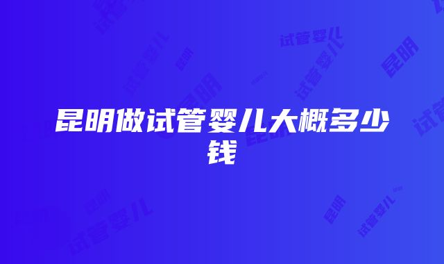 昆明做试管婴儿大概多少钱