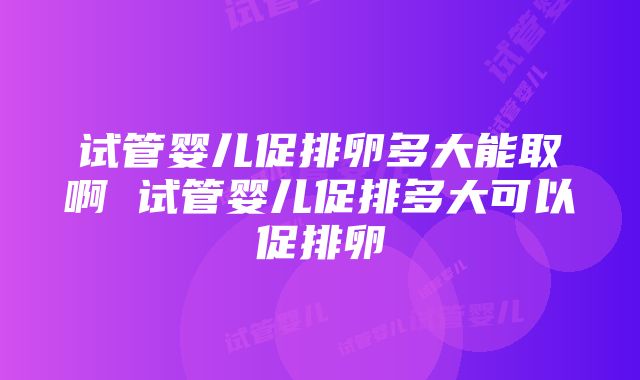 试管婴儿促排卵多大能取啊 试管婴儿促排多大可以促排卵