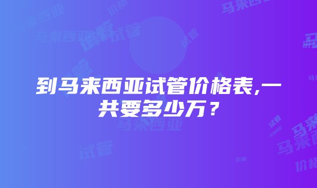 到马来西亚试管价格表,一共要多少万？