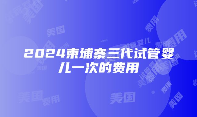 2024柬埔寨三代试管婴儿一次的费用