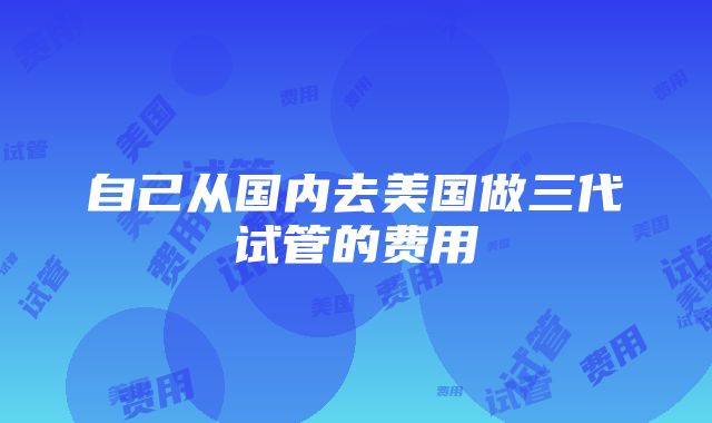 自己从国内去美国做三代试管的费用