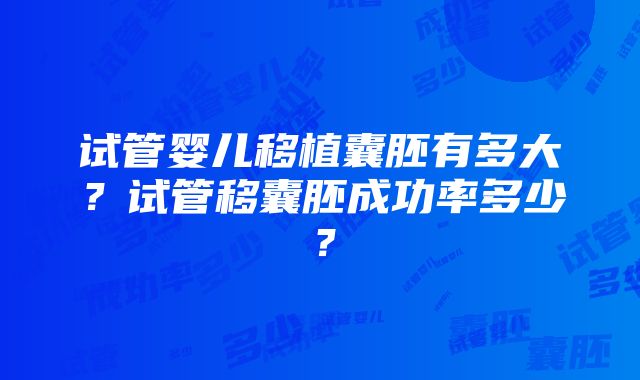 试管婴儿移植囊胚有多大？试管移囊胚成功率多少？