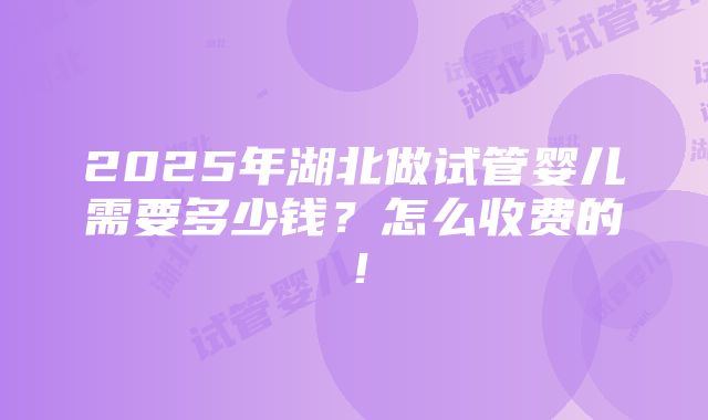 2025年湖北做试管婴儿需要多少钱？怎么收费的！