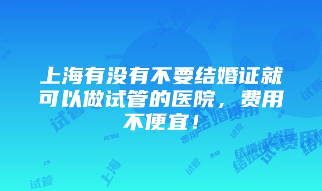 上海有没有不要结婚证就可以做试管的医院，费用不便宜！