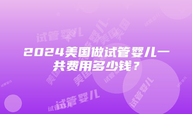 2024美国做试管婴儿一共费用多少钱？