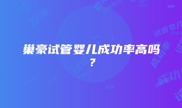 巢豪试管婴儿成功率高吗？