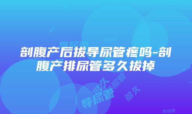 剖腹产后拔导尿管疼吗-剖腹产排尿管多久拔掉