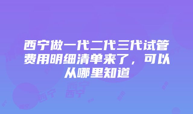 西宁做一代二代三代试管费用明细清单来了，可以从哪里知道