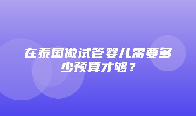 在泰国做试管婴儿需要多少预算才够？