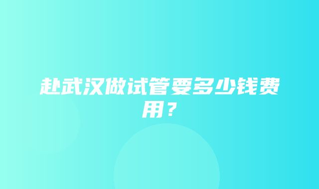 赴武汉做试管要多少钱费用？