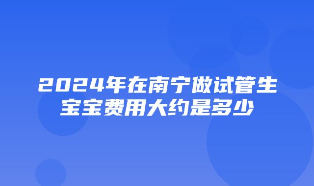 2024年在南宁做试管生宝宝费用大约是多少