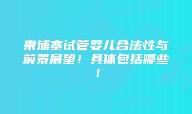 柬埔寨试管婴儿合法性与前景展望！具体包括哪些！